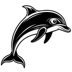 dolphin illustration