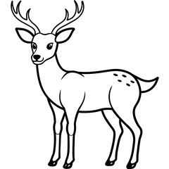 deer vector
