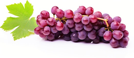 Fototapeta premium Grapes with Leaf