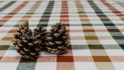 Pine cones on the table