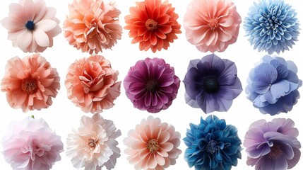 Various sized pastel colored pom poms for choreography and cheer activities. Colorful decorative elements isolated on white background. Modern illustration. - obrazy, fototapety, plakaty