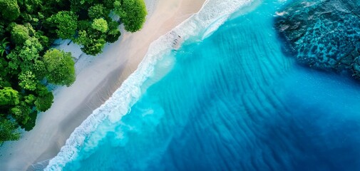landscape, forest, mountain, beach, lake background