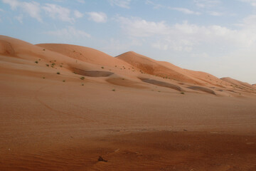 sand dunes scene