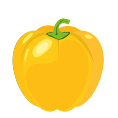 Beautiful yellow bell pepper on white background