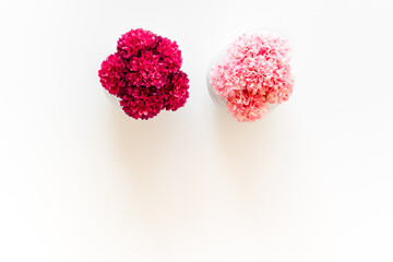 Fototapeta premium Indoor house plants flowers in pots, top view