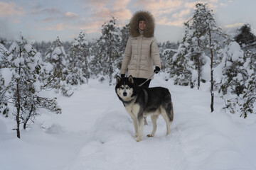 A woman with a husky dog ​​in the forest in winter day.