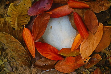 Frame of autumn leaves background
