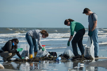 Volunteers Collect Litter Along the Shoreline During a Beach Cleanup Event at Daytime