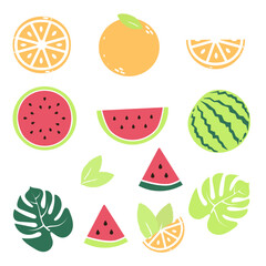 A set of summer fruits and tropical leaves