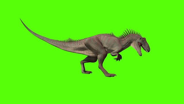 Dinosaur Roar Animation on Green Screen