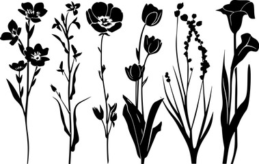 black flower silhouettes collection freesia tulips