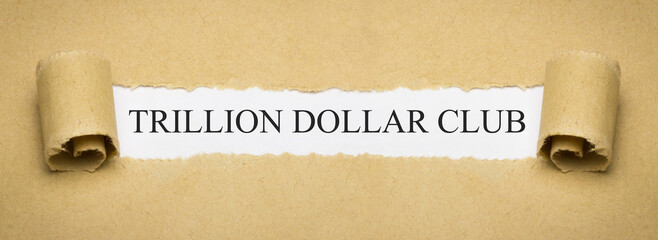 Trillion Dollar Club - 793855785