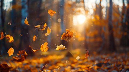 Fallen yellow leaves in autumn forest at sunset.  - Powered by Adobe