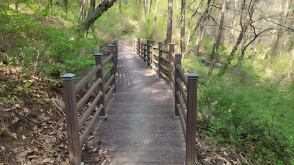 반룡산 둘레길 순회