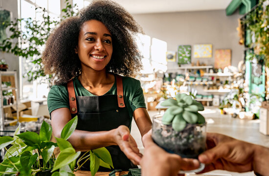 A beautiful African-American florist, a small business owner, is taking orders to sell succulents, flower pots, in a shop. Work in a plant shop.