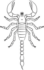 筆書き昆虫単品アイコン　蠍