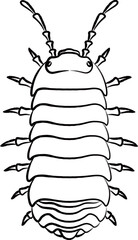 筆書き昆虫単品アイコン　ダンゴムシ