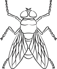 筆書き昆虫単品アイコン　蝿