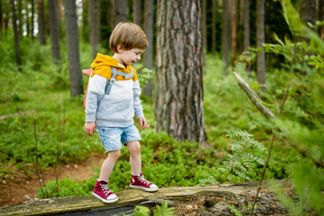 Cute little boy with a backpack having fun outdoors on sunny summer day. Child exploring nature. Kid going on a trip. - 793870153