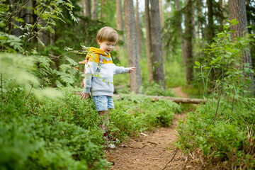Cute little boy with a backpack having fun outdoors on sunny summer day. Child exploring nature. Kid going on a trip. - 793870314