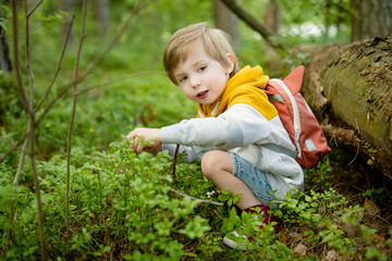 Cute little boy with a backpack having fun outdoors on sunny summer day. Child exploring nature. Kid going on a trip. - 793870552