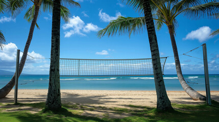Tropical beach volleyball court with no players