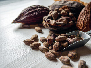 Close-up of brown cocoa beans and dry cacao pod on white wooden table