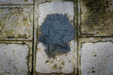 Una stella incisa su una pietra della pavimentazione di una strada di Venezia