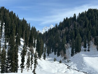 Beautiful Sonamarg, Jammu and Kashmir