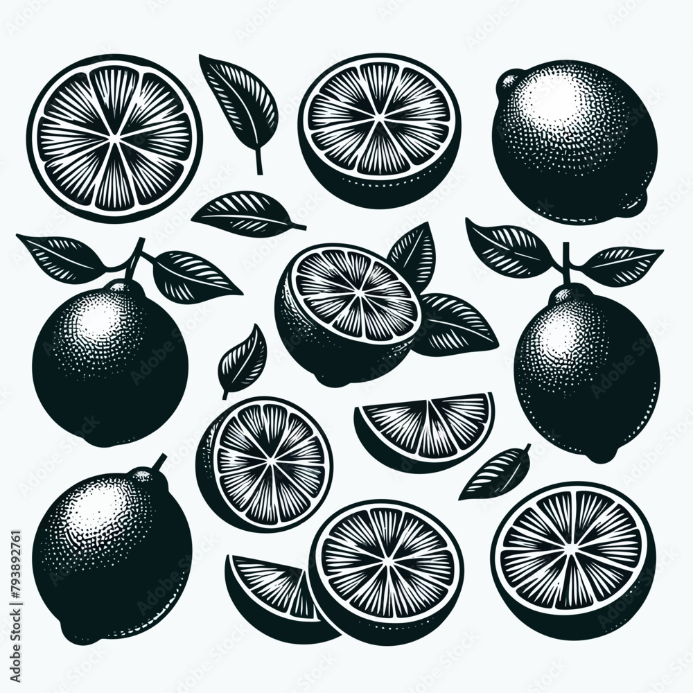 Wall mural Limes fruit silhouette vector illustration White Background