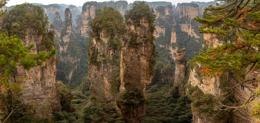 Zhangjiajie National Forest Park (or Avatar park). Wulingyuan, Hunan province, China