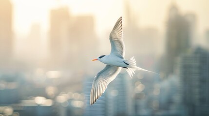 A slender bird glides gracefully in the sky, its wings outstretched against the soft-focus backdrop of a city's hazy skyline.