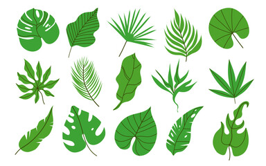 Collection of hand drawn vector tropical leaves.Exotic l eaves and branches in  flat style isolated on white.