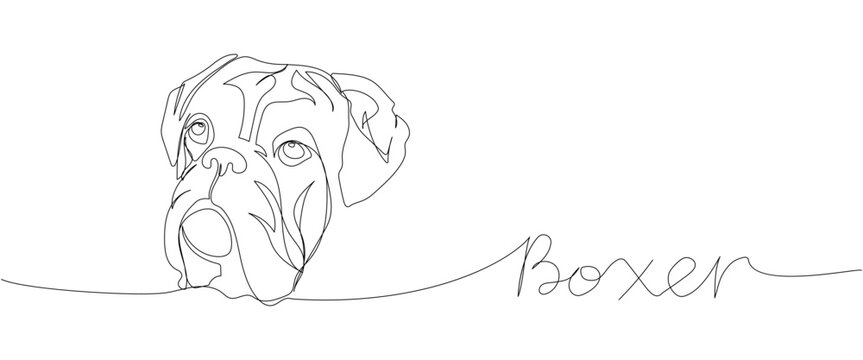 Boxer dog breed, guard dog, service dog one line art. Continuous line drawing of friend, dog, doggy, friendship, care, pet, animal, family, canine with inscription, lettering, handwritten.