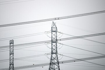 Electric pole: Tall structure supporting wires, distributing electricity to homes and businesses.