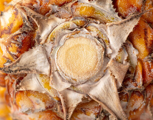 The tail of a ripe pineapple as an abstract background. Texture
