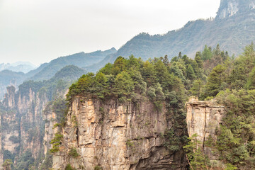 Obraz premium Zhangjiajie National Forest Park (or Avatar park). Wulingyuan, Hunan province, China.
