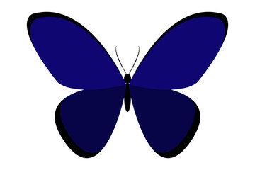 Vector illustration of butterfly on transparent background
