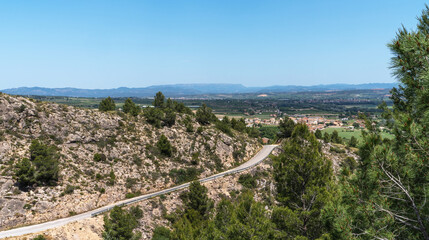Serpentine road winds through rugged terrain, with lush pines framing a stunning view of vast green plains and distant mountains under the clear blue sky