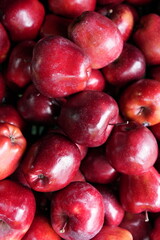 Summer fruits