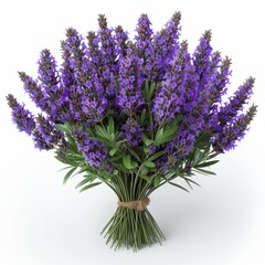 A photo of a bouquet of lavender flowers against a white background.