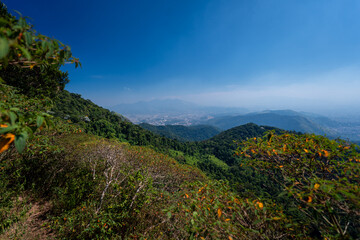 Incredible view of the wonderful city of Rio de Janeiro. Pico da Tijuca offers tourists and adventurers a beautiful panoramic view of the Tijuca forest, mountains, beaches and the city's buildings.