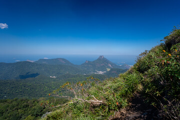Incredible view of the wonderful city of Rio de Janeiro. Pico da Tijuca offers tourists and adventurers a beautiful panoramic view of the Tijuca forest, mountains, beaches and the city's buildings.