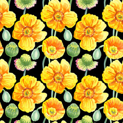 Seamless pattern of yellow poppy flowers painted with watercolours on a black background. Botanical collection of garden and wild plants. For fabric, sketchbook, wallpaper, wrapping paper