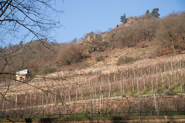 Old vineyards in winter with a silo on it