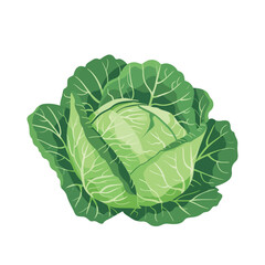 a picture of a green vegetable with the word lettuce on it.