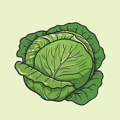 Obraz premium a green cabbage with a leafy vegetable on it.