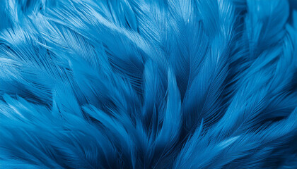 Blue fur texture close-up beautiful abstract feather background - obrazy, fototapety, plakaty