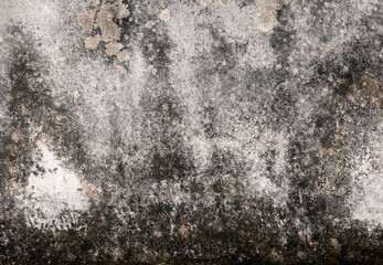 concrete wall texture