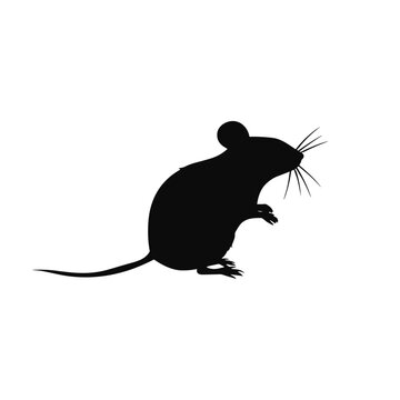 small mouse Black mouse vector, mouse silhouette isolated on white background